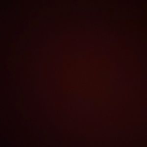 Meet your Posher, Lily